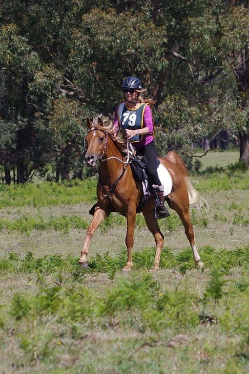 VP SAKIM, SASSAFRAS 80KM, NOVEMBER 2012