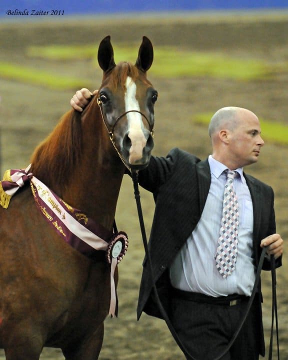 VP GEISHA- RESERVE CHAMPION (PHOTO CREDIT BELINDA ZAITER)
